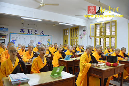 南普陀 南普陀