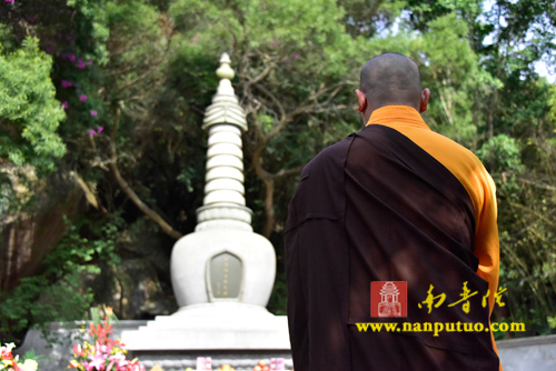 南普陀寺 南普陀寺
