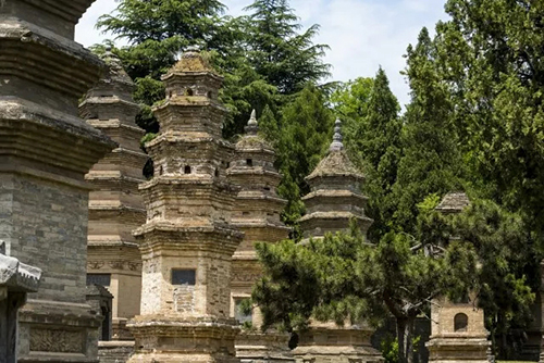 南普陀寺 南普陀寺