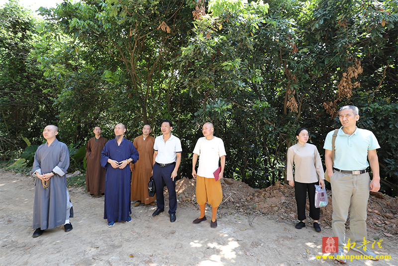 南普陀寺 南普陀寺